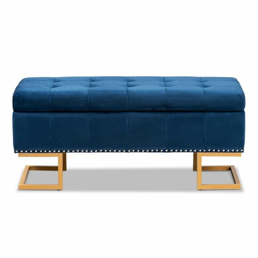 Living Room Furniture * | Ellery Navy Blue And Gold Storage Ottoman By Baxton Studio